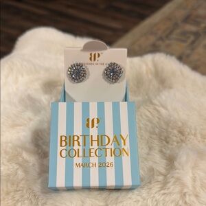 Elegant Silver Crystal Stud Earrings